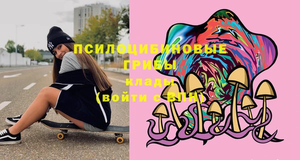 шишки Покров