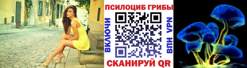 Псилоцибиновые грибы мицелий  Купить где  Железноводск 